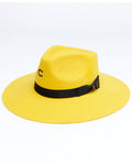 Charlie 1 Horse Highway YELLOW
